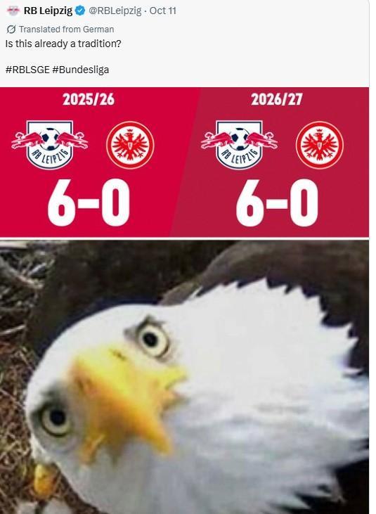 YABOSPORTS介绍图片